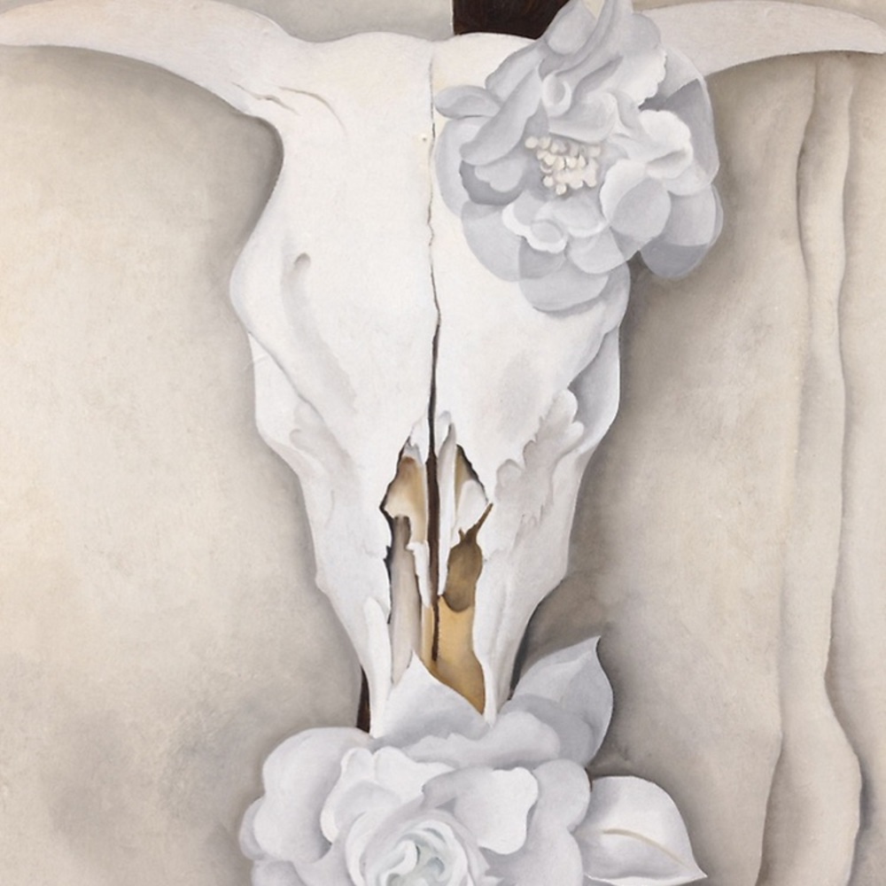 Meet your Posher, Ashlee